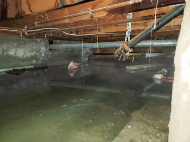 Professional Water damage restoration in Munhall, PA