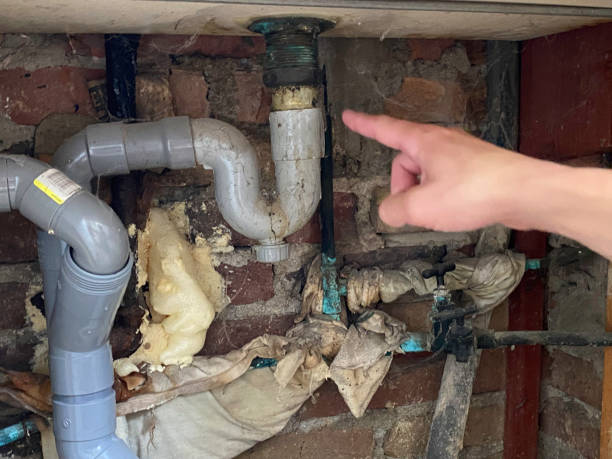 Trusted Munhall, PA Water damage restoration Experts